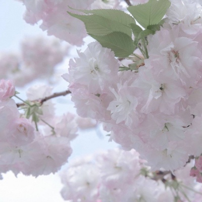 原创Furry角色设计兽圈社群